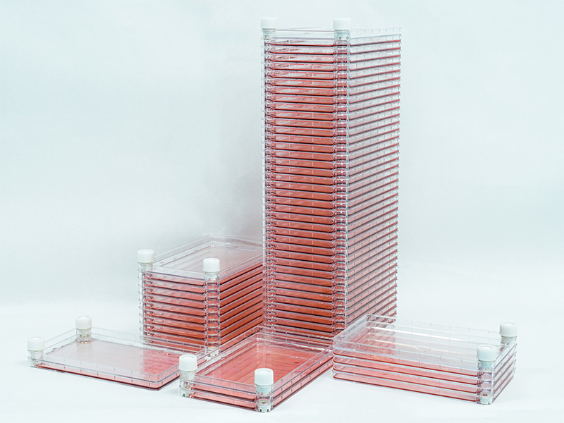 Bioland 细胞工厂